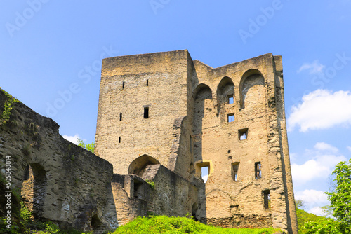 The ruins of the late medieval spur castle Sporkenburg, Rhineland Palatinate - Germany photo