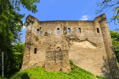 The ruins of the late medieval spur castle Sporkenburg, Rhineland Palatinate - Germany photo