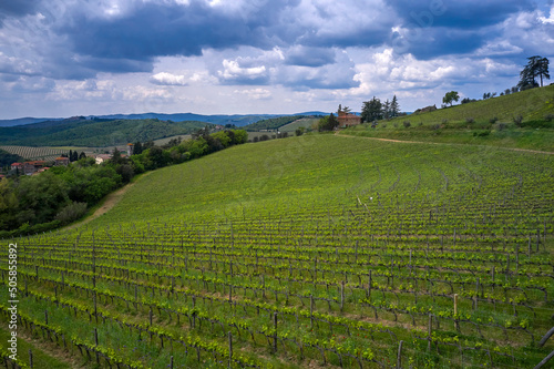 Fototapeta Naklejka Na Ścianę i Meble -  Aerial view on the vineyards of Tuscany, Italy