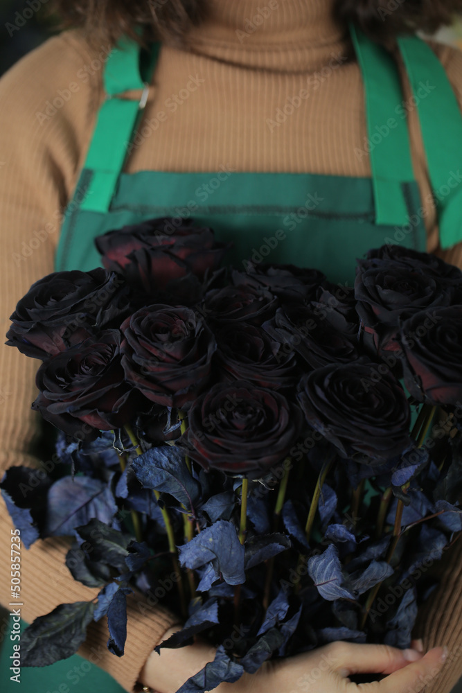 Fotografie Beautiful roses, floral background.