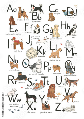 Fototapeta Naklejka Na Ścianę i Meble -  Dog alphabet vector line illustrations set