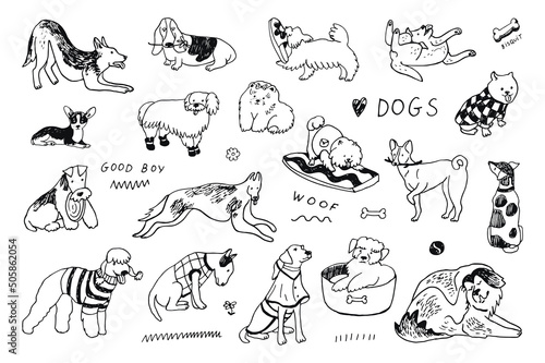 Dogs funny pets vector illustration set