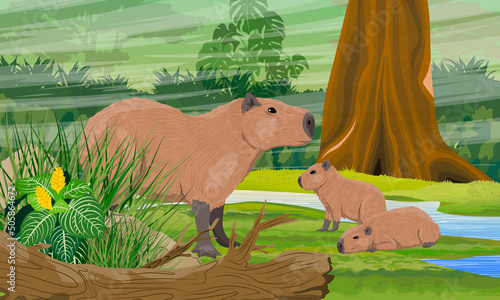 Capybara mother and two her cub are sitting near the stream in the jungle. Rodents of South America. Realistic vector landscape