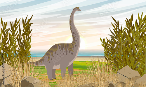 A large brachiosaurus dinosaur stands in the grass on the seashore. Prehistoric flora and fauna. Realistic vector landscape