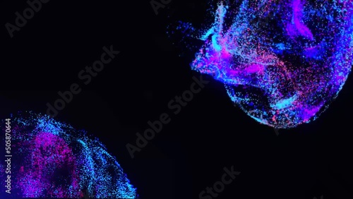 Fluid Particles