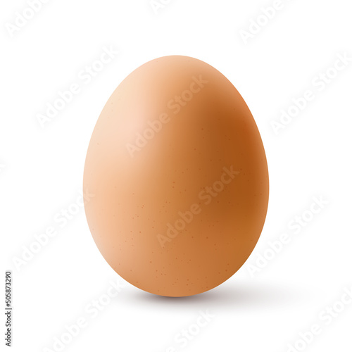Fresh Organic Chicken Egg. Realistic Chicken Brown Egg with Shadow Effects. Isolated on White Background