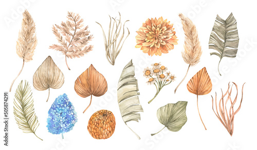 Vector watercolor illustrations - dry tropical leaves and gentle flowers and pampas. Botanical floral designs. Beige, green, orange palm leaves. Perfect for wedding invitations, packaging, cards photo