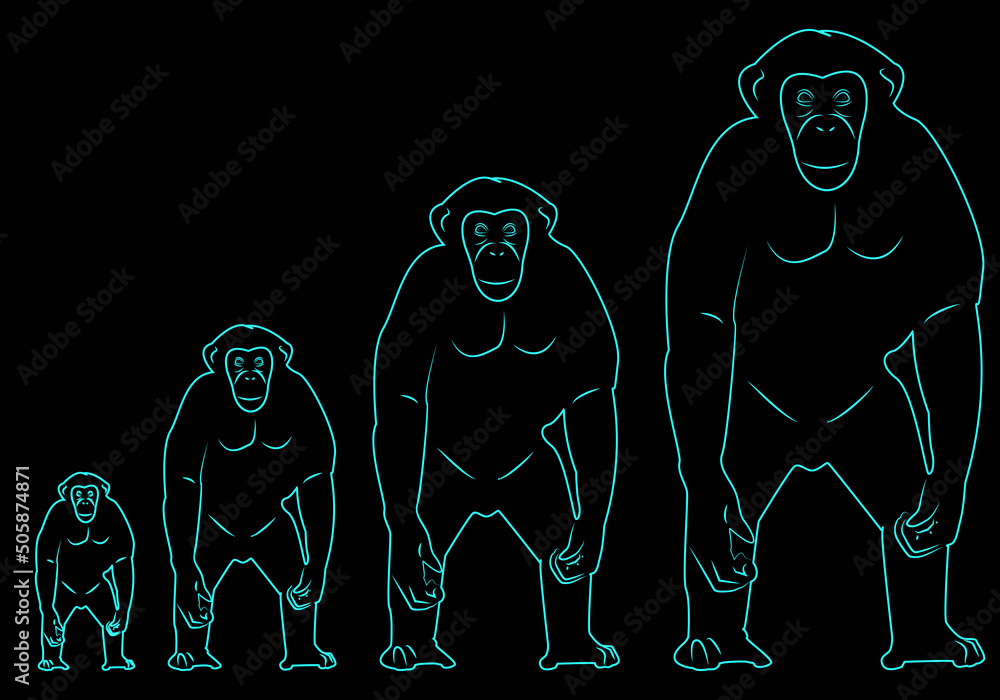 Vettoriale Stock Fila o hilera de trazados de un mono o chimpancé en azul  neón sobre fondo negro y en tamaño progresivo | Adobe Stock