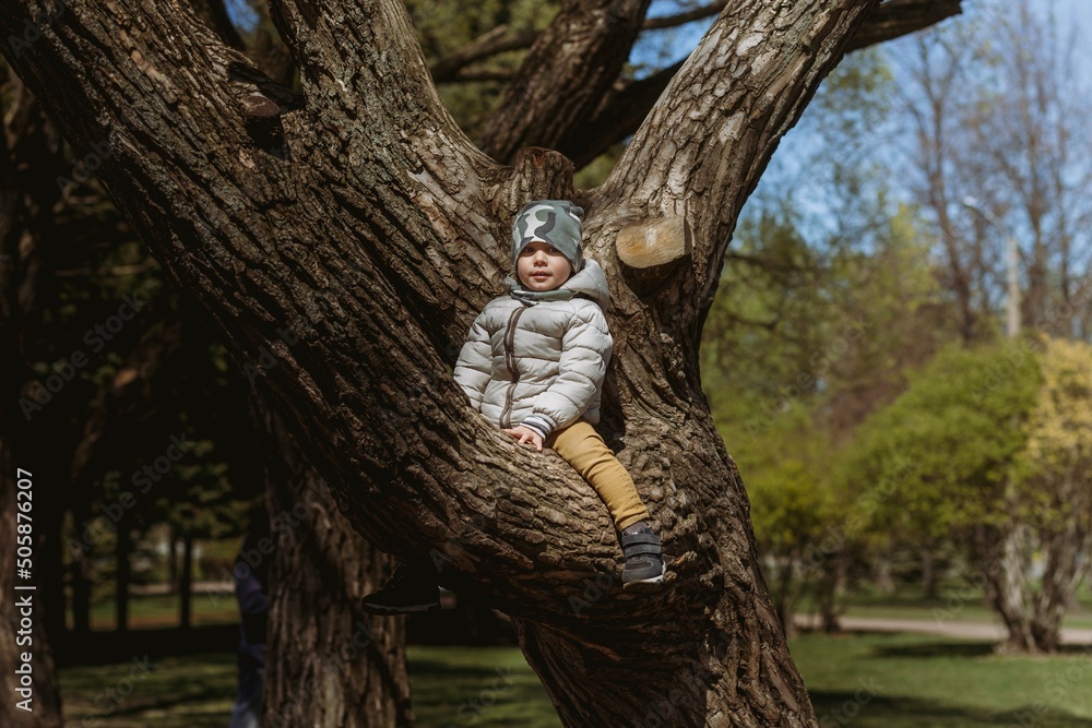 A cute little boy wearing warm jacket and khaki beanie sitting on the branch of big tree. Image with selective focus