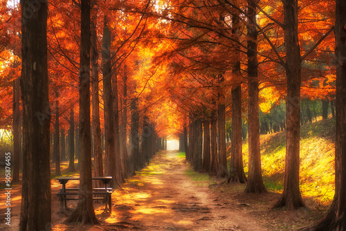 Haneul Park is the most popular among the five parks located in the attractions of the World Cup Park, Seoul, South Korea.