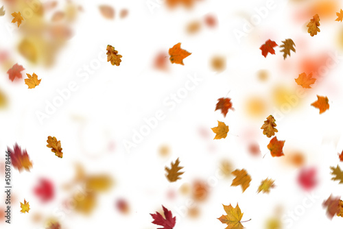 Autumn Set Photo Overlays Falling Leaves, fog, rain, sun, light, Photoshop overlay, png