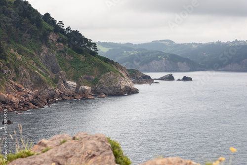 Calm waters of Bay of Biscay and sheer cliffs of its coast, covered with bright evergreen small plants. El Cabo Antzoriz, Lequeitio, Basque Country, Spain