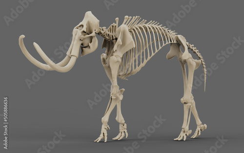 The skeleton of a mammoth in the dark. 3d rendering of mammoth elephant bones