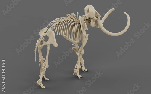 The skeleton of a mammoth in the dark. 3d rendering of mammoth elephant bones