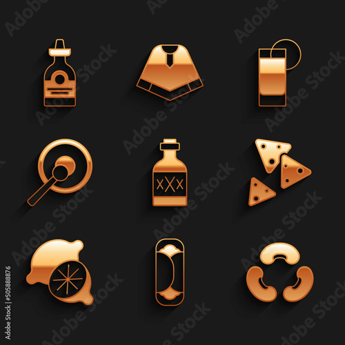 Set Tequila bottle, Burrito, Beans, Nachos, Lime, Gong, glass with lemon and icon. Vector