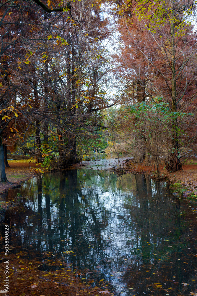 Fototapeta premium Sempione park in Milan at November