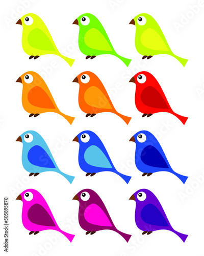 Bright colorful cartoon bird set collection on white background. Vector illustration. © Alexandra