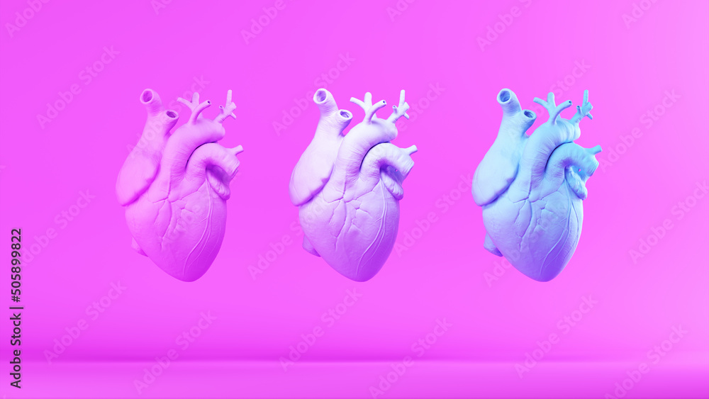 Pink Blue anatomical human heart Trans Healthcare Equality Masculine Feminine Personality with Pink Background 3d illustration render Pink Blue anatomical human heart Trans Healthcare Equality Masculine Feminine Personality with Pink Background 3d illustration render