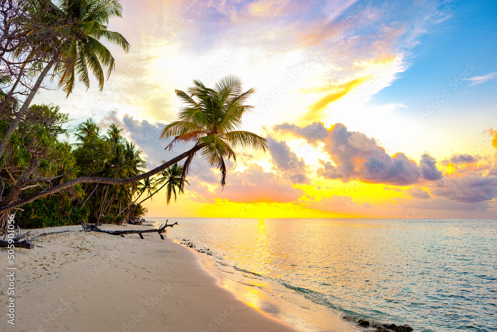 Beautiful evening sunset on the coast of the island. Maldives.