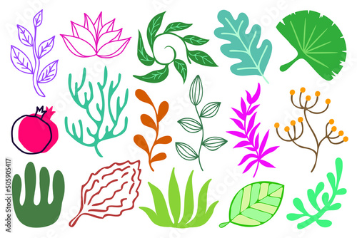 Plant vector design elements, decorative illustrations set. Colorful abstract plants, branches and leaves isolated on a white background. 