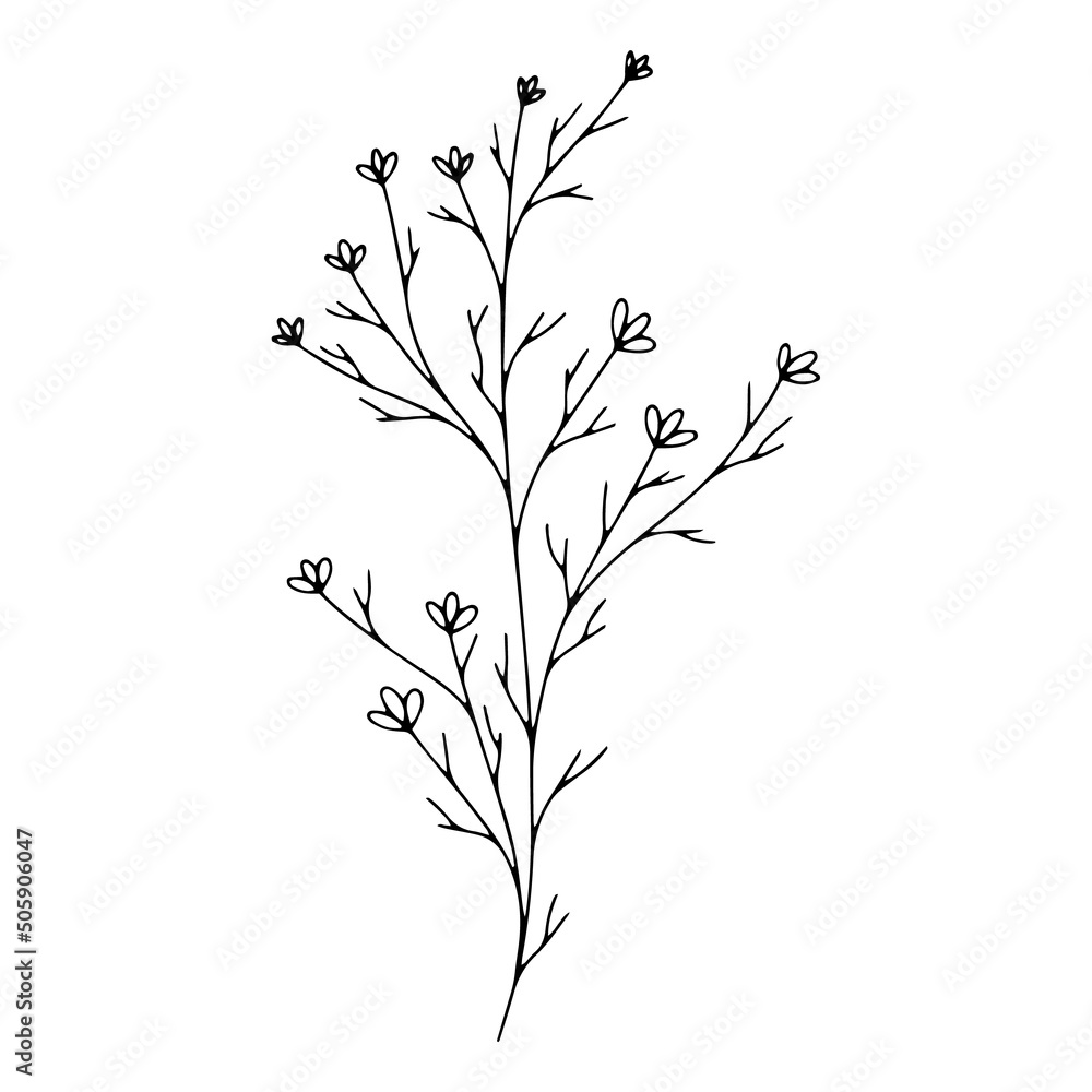 Botanical line art floral leaves, plant. Hand drawn sketch branch isolated on white background. Vector illustration Botanical line art floral leaves, plant. Hand drawn sketch branch isolated on white background. Vector illustration