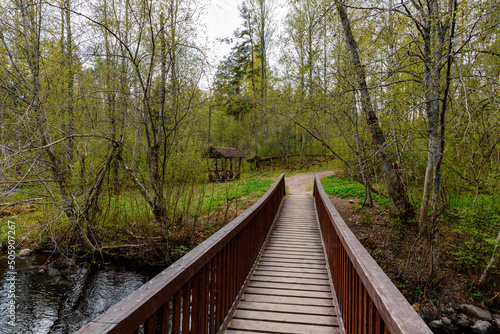 Small wooden bridge across the river on the eco-trail