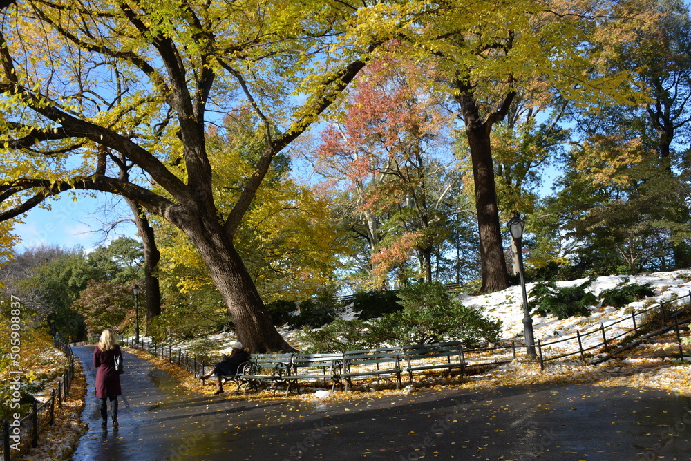 autumn in the park