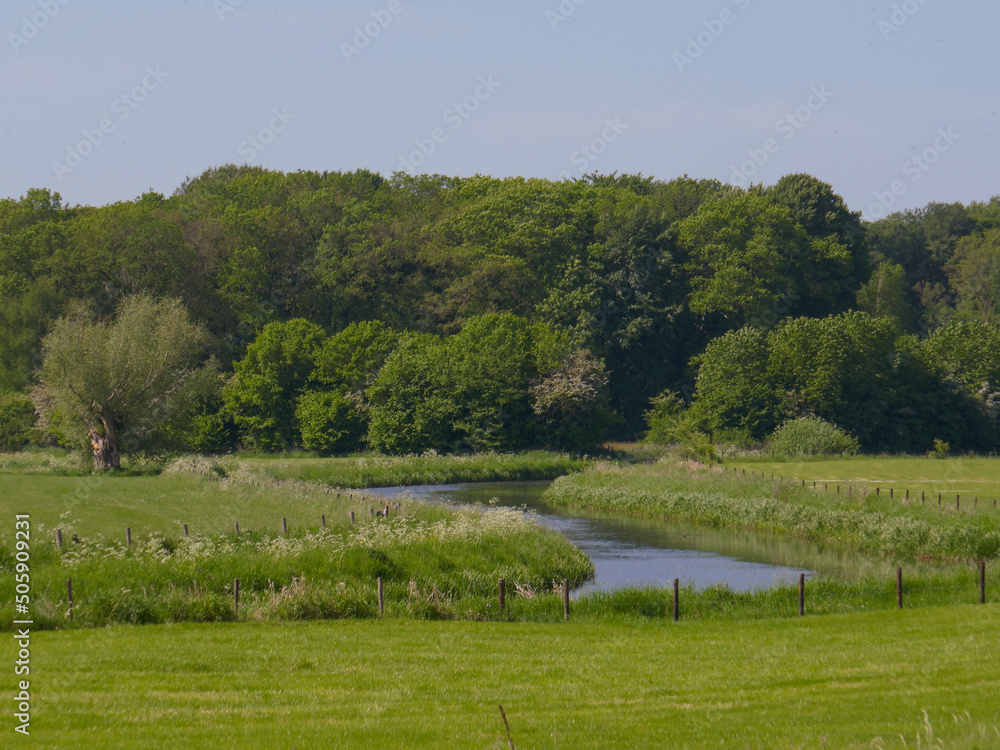 River Berkel in the Achterhoek flows through agricultural area, Gelderland, the Netherlands 
