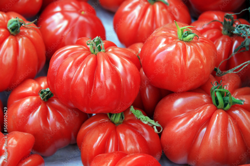 Fotografía Red tomatoes