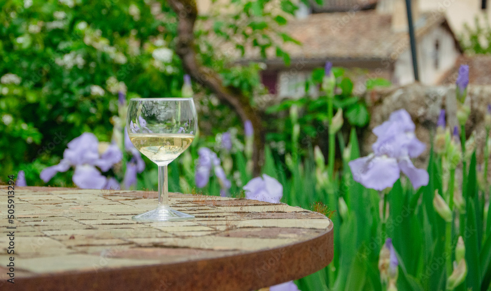 A glass of wine in front of a beautiful view to the French garden in Lautrec, France