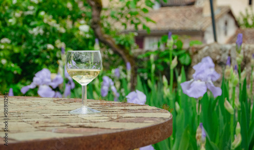 Obraz na płótnie A glass of wine in front of a beautiful view to the French garden in Lautrec, France w salonie