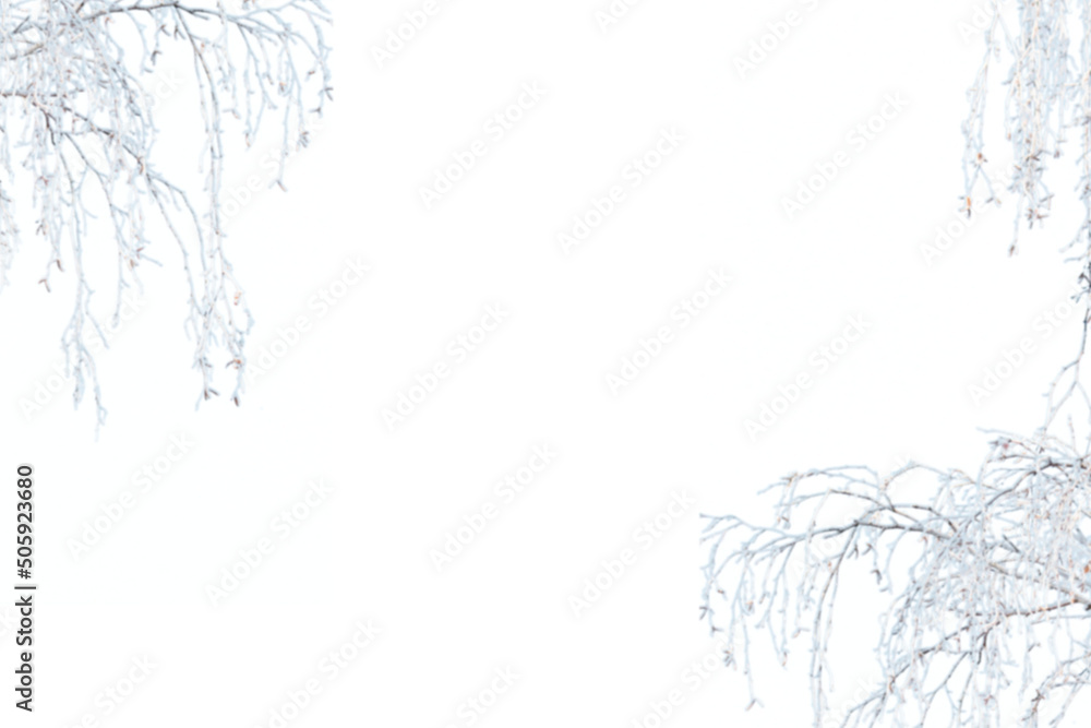 Ταπετσαρία Winter frozen tree branch Photo overlays, Photoshop overlay, pine icy snow branc