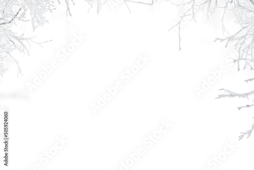 Winter frozen tree branch Photo overlays  Photoshop overlay  pine icy snow branch  png
