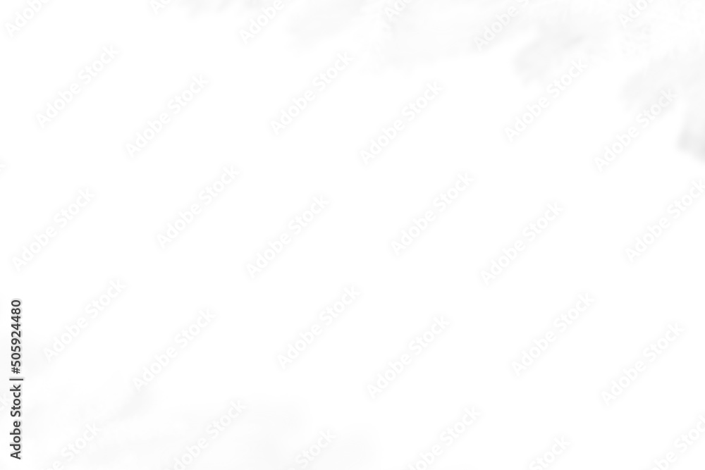 Winter frozen tree branch Photo overlays, Photoshop overlay, pine icy snow branch, png Winter frozen tree branch Photo overlays, Photoshop overlay, pine icy snow branch, png