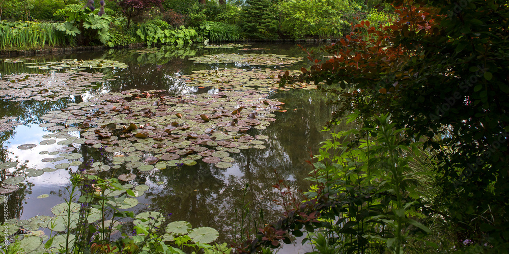 Pond, trees, and waterlilies in a french garden Pond, trees, and waterlilies in a french garden