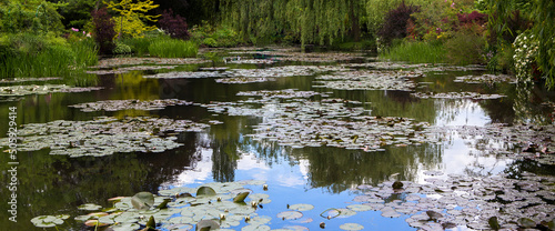 Fényképezés Pond, trees, and waterlilies in a french garden