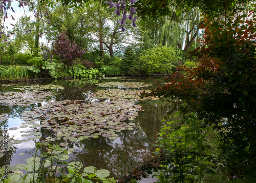 Obraz na płótnie Pond, trees, and waterlilies in a french garden