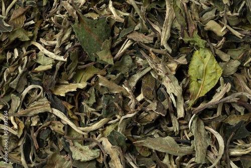 Chinese Bai Mudan  Pai Mu Tan dried tea leaves close up full frame as background 