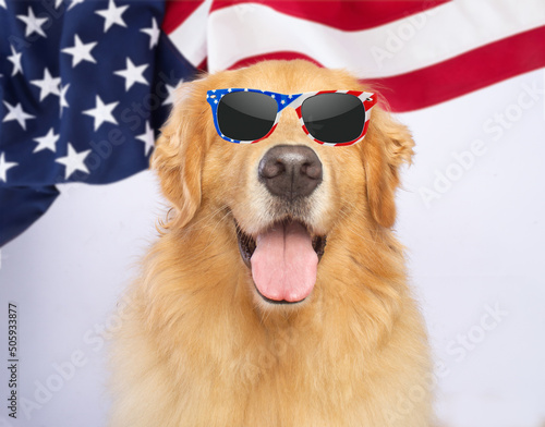 cool dog golden retriever on united states flag background happy sunglasses memorial day idependence portrait photo