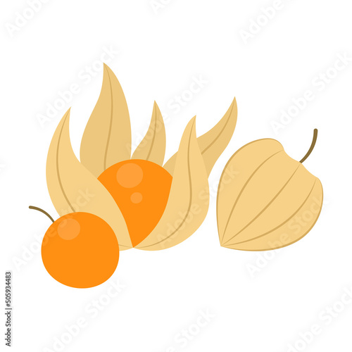 Foto Cape gooseberry fruit isolated on white background