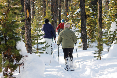 Active family snow shoes trail through backlight Coniferous pine tree forest during winter.