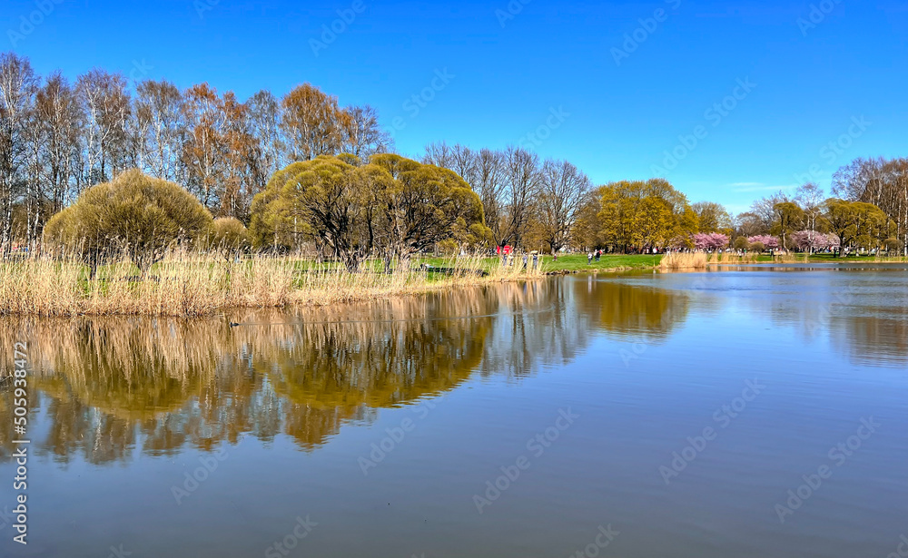 Sunny spring landscape with blooming green meadows and small pond in Victory Park, Riga, capital of Latvia. Clean environment ecology in urban environment.