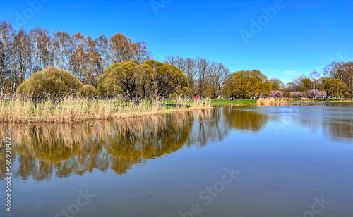 Sunny spring landscape with blooming green meadows and small pond in Victory Park, Riga, capital of Latvia. Clean environment ecology in urban environment. © Tanya Keisha