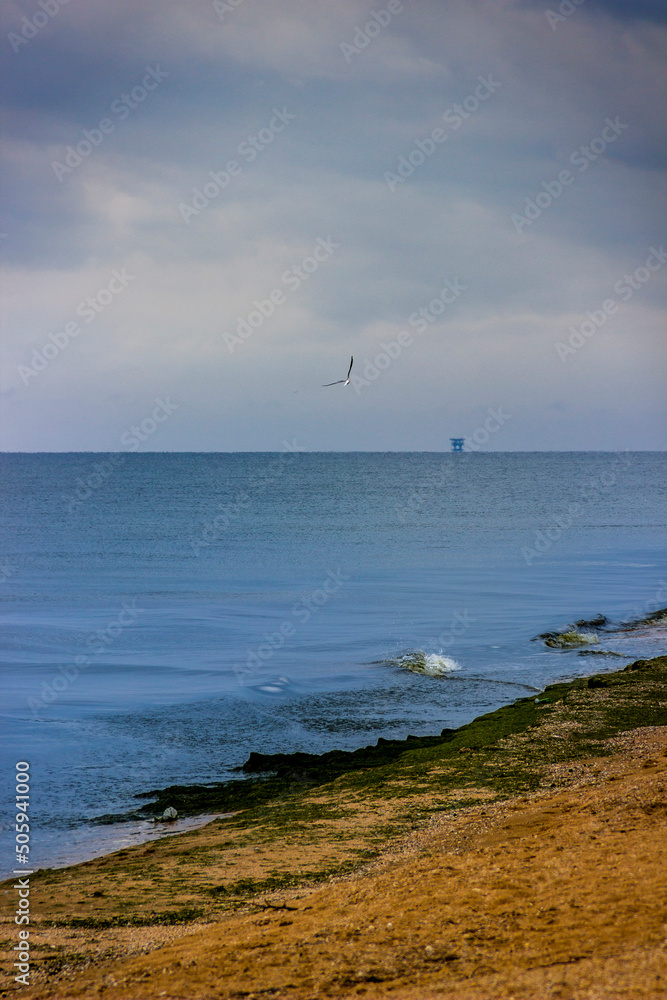 the sea landscape, Azov sea, Ukraine