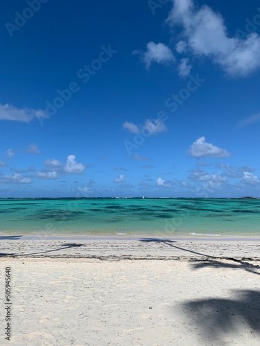 TURQUOISE WATER  PUNTA CANA BEACH  PARADISE  BLUE SKY  WITH SOME CLOUDS - DOMINICAN REPUBLICAN  FEBRUARY  2020