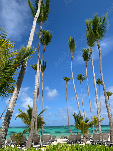 PALMS AND BEACH, PARADISE, TURQUOISE WATER IN PUNTA CANA, PARADISE, DOMINICAN REPUBLIC, FEBRUARY 2021 photo