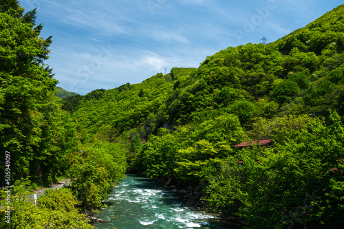 梓川と新緑の山　さわんど温泉 © kikisora