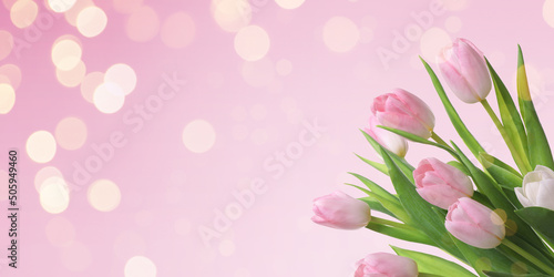 Fototapeta Naklejka Na Ścianę i Meble -  Bouquet of beautiful spring tulips on pink background, space for text. Banner design
