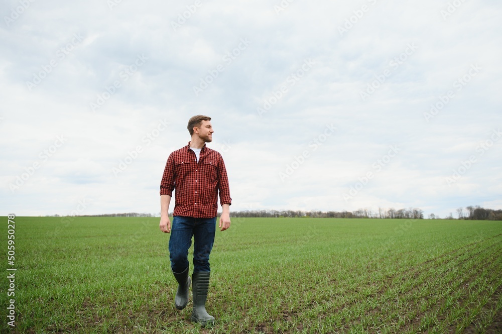 Young farmer stands in the green field checking and waiting for harvest to grow.