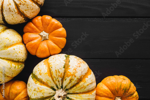 Ornamental Pumpkin Variety on Dark Backround